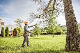 Soil Testing and Treatment in Casa De Oro Mount Helix, CA